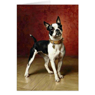 Fransk Bulldog - målning av Carl Reichert Hälsningskort
