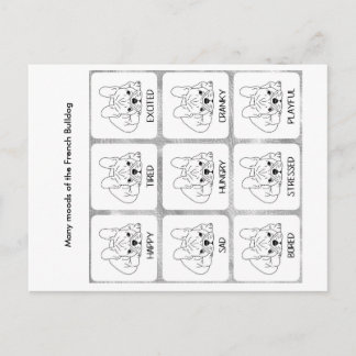 Fransk Bulldog många gånger Vykort