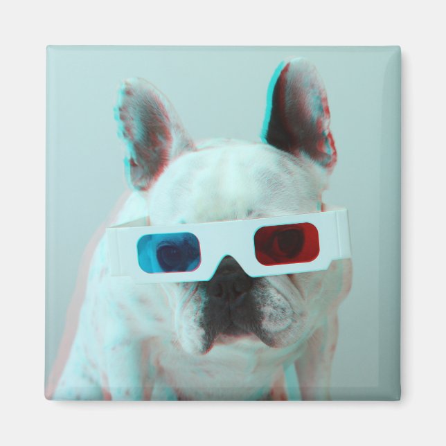 Fransk Bulldog med 3D-glas Magnet (Framsidan)