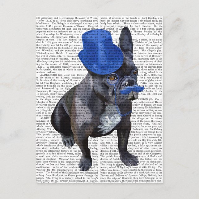 Fransk Bulldog med blå Top hat och mustache Vykort (Framsida)