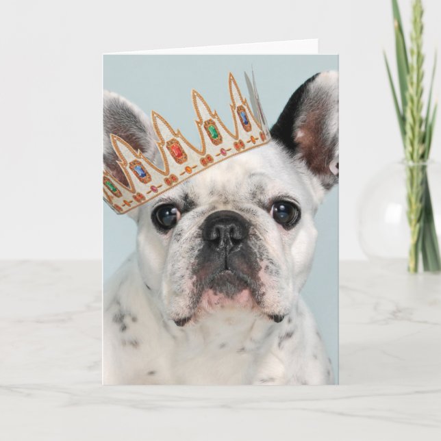 Fransk Bulldog med Krona Kort (Framsida)