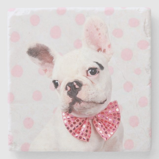 Fransk Bulldog med kupé Stenunderlägg (Framsidan)