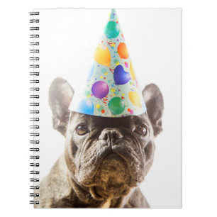 Fransk Bulldog med Party Hat Anteckningsbok