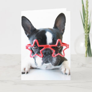Fransk Bulldog med rödstjärtsglas Kort