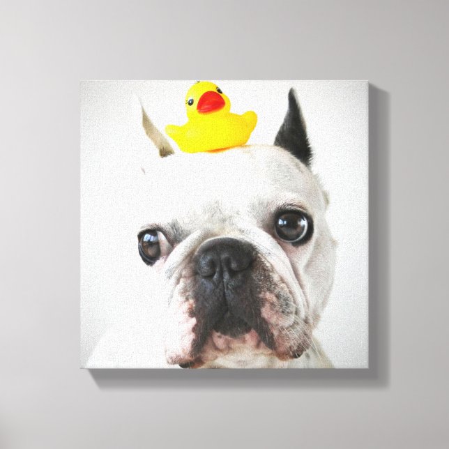 Fransk Bulldog med Rubber Anka Canvastryck (Framsida)