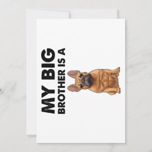 Fransk Bulldog min storebror är en frenchie Julkort