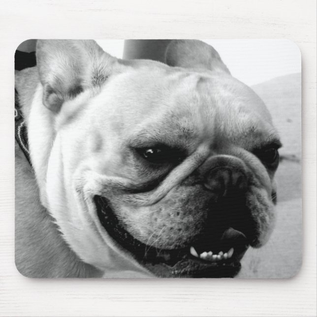 Fransk Bulldog munsepad Musmatta (Framsidan)