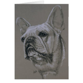 Fransk Bulldog OBS Kort