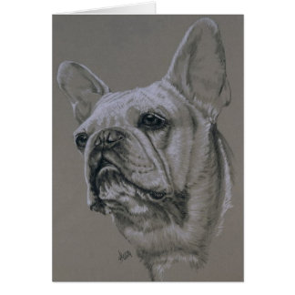 Fransk Bulldog OBS Kort