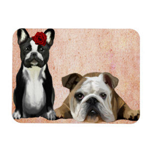 Fransk Bulldog och Bulldog i England Magnet