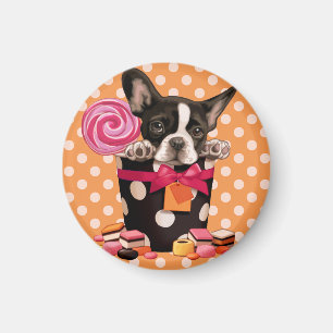 Fransk Bulldog och Candy Magnet