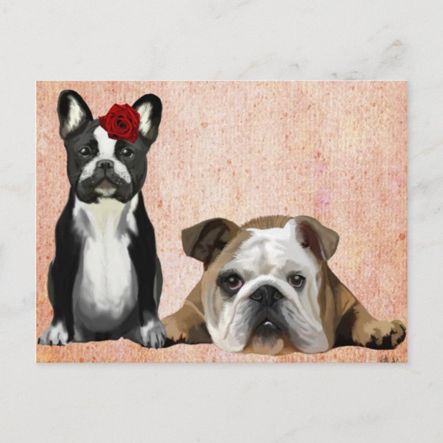 Fransk Bulldog och English Bulldog Vykort (Framsida)