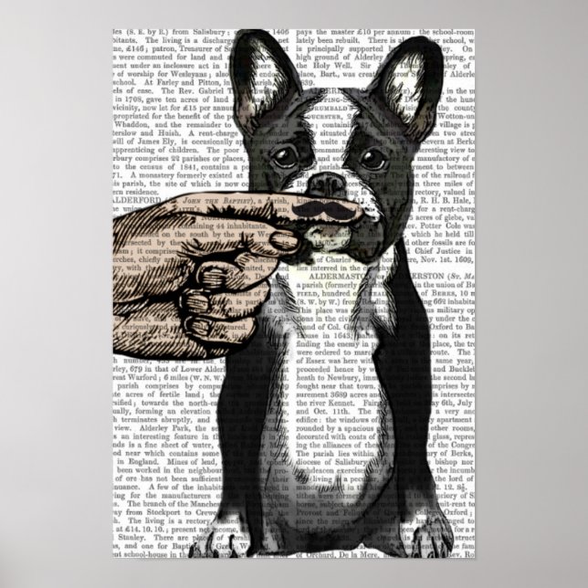 Fransk Bulldog och Finger Mustache Poster (Framsidan)