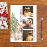 Fransk Bulldog och Julgran Pet Hund Photo Julkort<br><div class="desc">Den här vackra Fransken Bulldog-julkortet har en frenchie som bär en julhatt sitta framför ett belyst Julgran. Hälsning på kortet lyder "God jul" och kan vara personlig. Anpassa det här helgdag ytterligare med tre foton av din hund,  en namnteckning och året.</div>