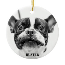 Fransk Bulldog Ornament Add Anpassningsbar Photo