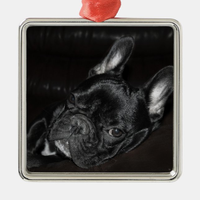Fransk Bulldog Ornament Metall Anpassningsbar (Framsidan)