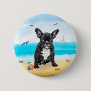 Fransk Bulldog på Beach Knapp