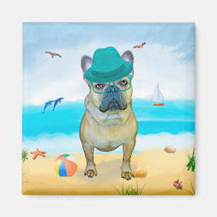 Fransk Bulldog på Beach Magnet