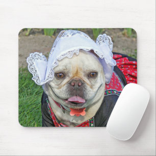 Fransk Bulldog på nederländska Costume Musmatta