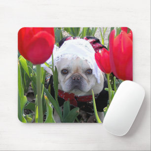 Fransk Bulldog på nederländska Tulip Garden Musmatta