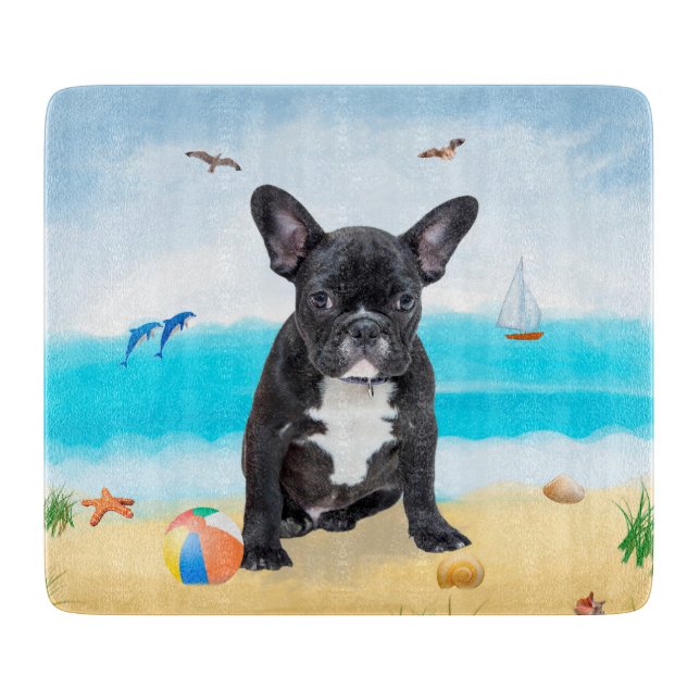 Fransk Bulldog på Strand Kuddvar (Framsidan)