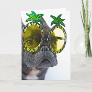 Fransk Bulldog på stranden Kort
