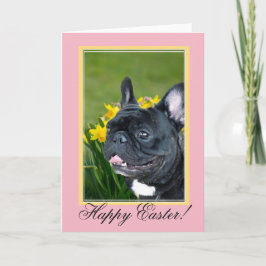 Fransk Bulldog Påsk hund hälsningskort Helgkort
