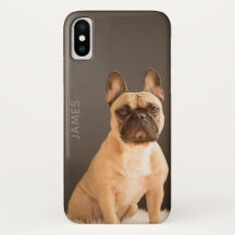 Fransk Bulldog Personligt Namn | Hund