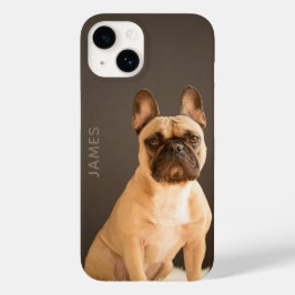 Fransk Bulldog Personligt Namn | Hund
