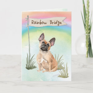 Fransk Bulldog Pet Sympathy over Rainbow Bridge Kort