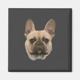 Fransk Bulldog Photo Cute Ansikte Bild Magnet