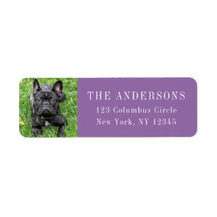 Fransk Bulldog Photo Lila Return-adressetikett Returadress Etikett