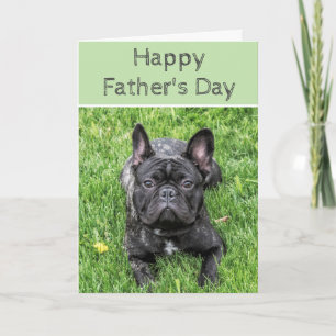 Fransk Bulldog Photograf Anpassningsbar Fars dag Kort