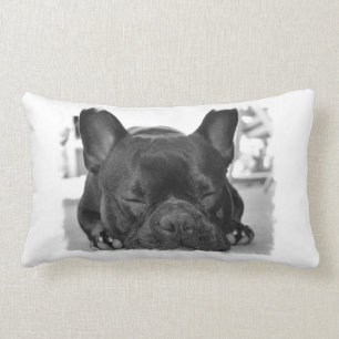 Fransk Bulldog Pillow Lumbarkudde