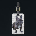 Fransk Bulldog Plain Bagagebricka<br><div class="desc">Husdjur</div>