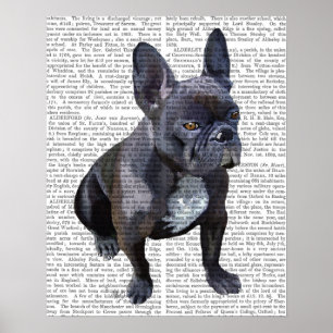 Fransk Bulldog Plain Poster