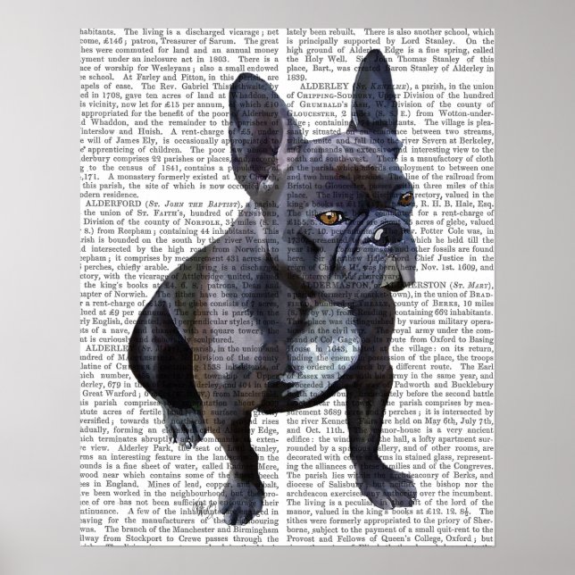 Fransk Bulldog Plain Poster (Framsidan)