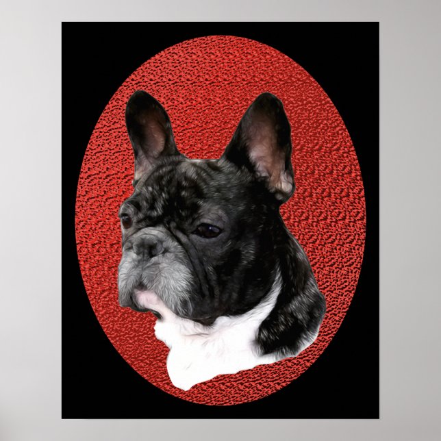 Fransk Bulldog Porträtt Poster (Framsidan)