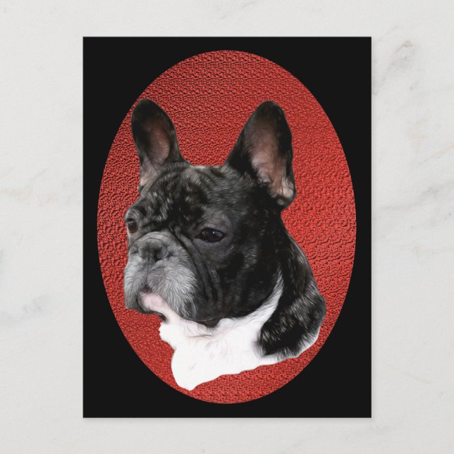 Fransk Bulldog Porträtt Vykort (Framsida)
