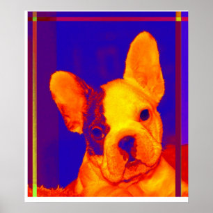 fransk bulldog poster
