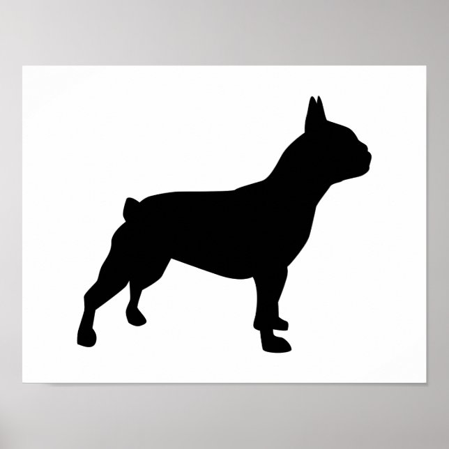 Fransk Bulldog Poster (Framsidan)