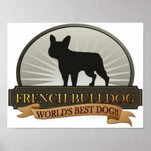 Fransk Bulldog Poster