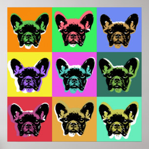 Fransk bulldog poster