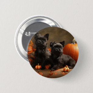 Fransk Bulldog Puppy Autumn Delight Pumpkin Knapp