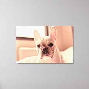 Fransk Bulldog Puppy Canvastryck