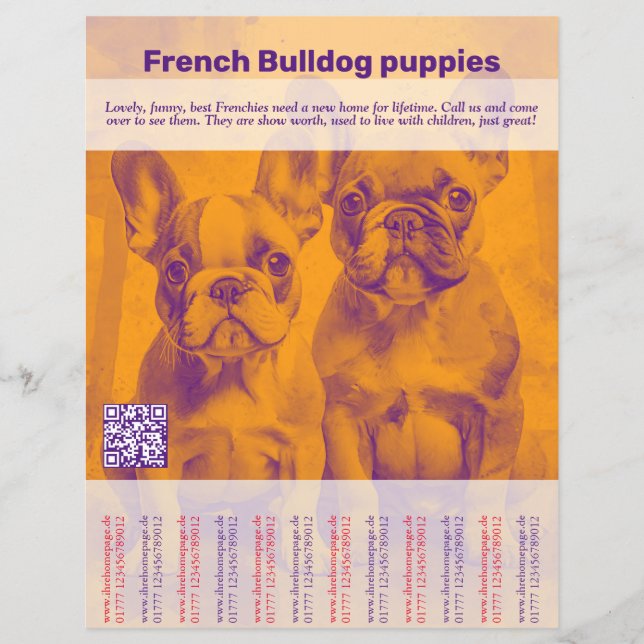 Fransk Bulldog Puppy Flyer (Framsidan)