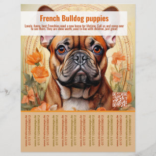 Fransk Bulldog Puppy Flyer