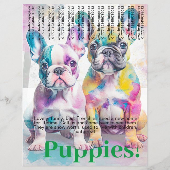 Fransk Bulldog Puppy Flyer  (Framsidan)