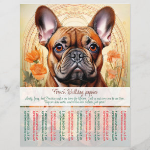 Fransk Bulldog Puppy Flyer 