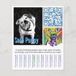 Fransk Bulldog Puppy Flygblad